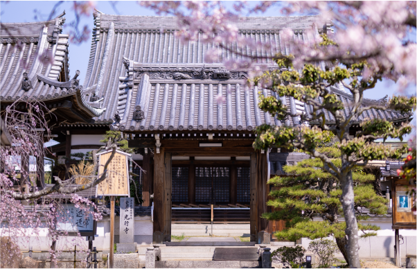 ［本堂／山門］