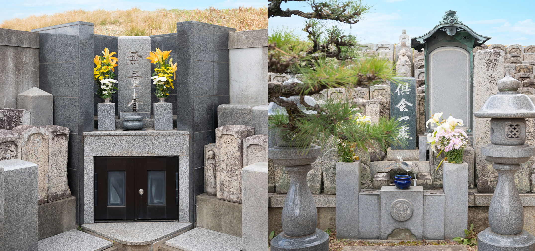 ［合同墓・合祀墓］