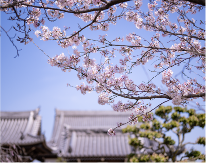 ウェブサイトをリニューアルしました